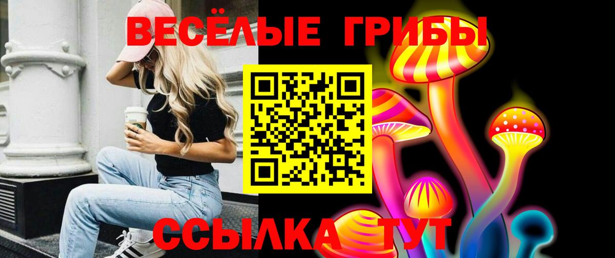 Псилоцибиновые грибы Magic Shrooms Красногорск